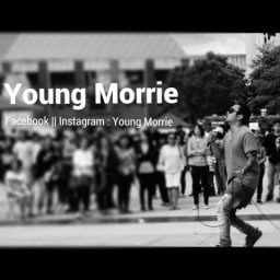 @young-morrie