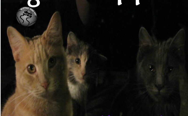 The Henchman's Coming Redrum